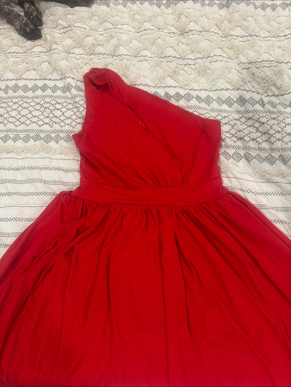 Red One-Shoulder Fit & Flare Dress
